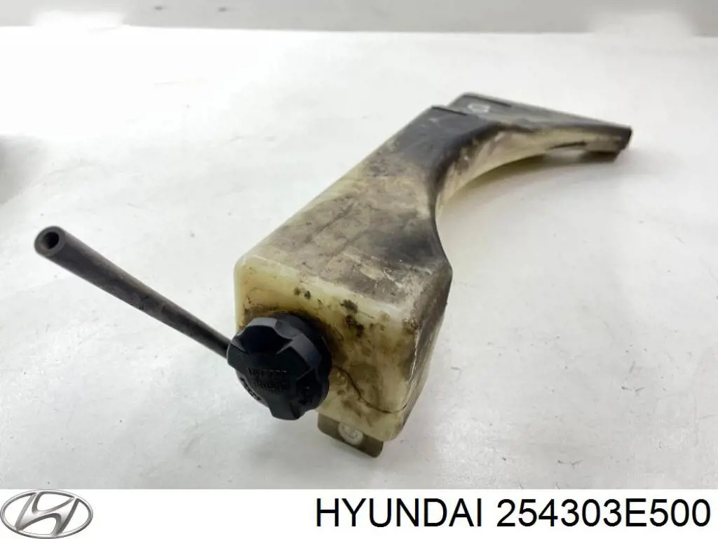 Tanque de expansão do sistema de esfriamento Hyundai/Kia 254303E500 preço, a partir de 231,65 USD