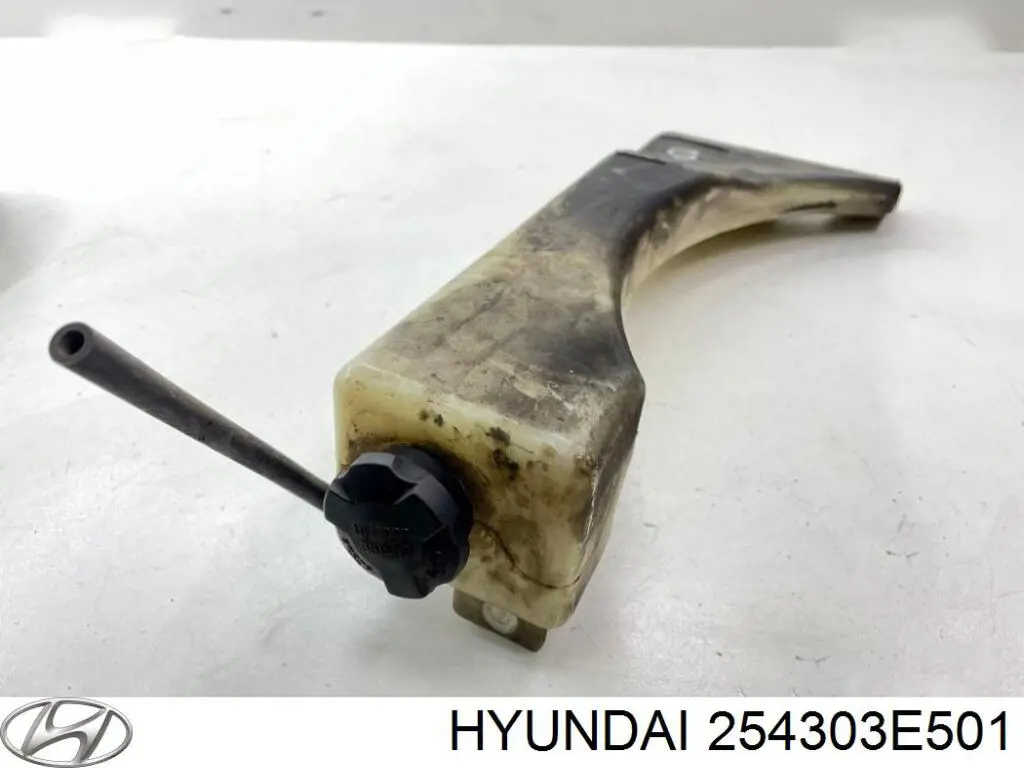 254303E501 Hyundai/Kia Tanque de expansão do sistema de esfriamento