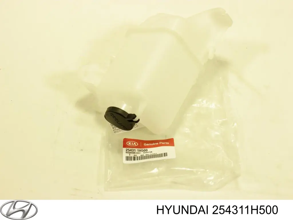 254311H500 Hyundai/Kia Tanque de expansão do sistema de esfriamento