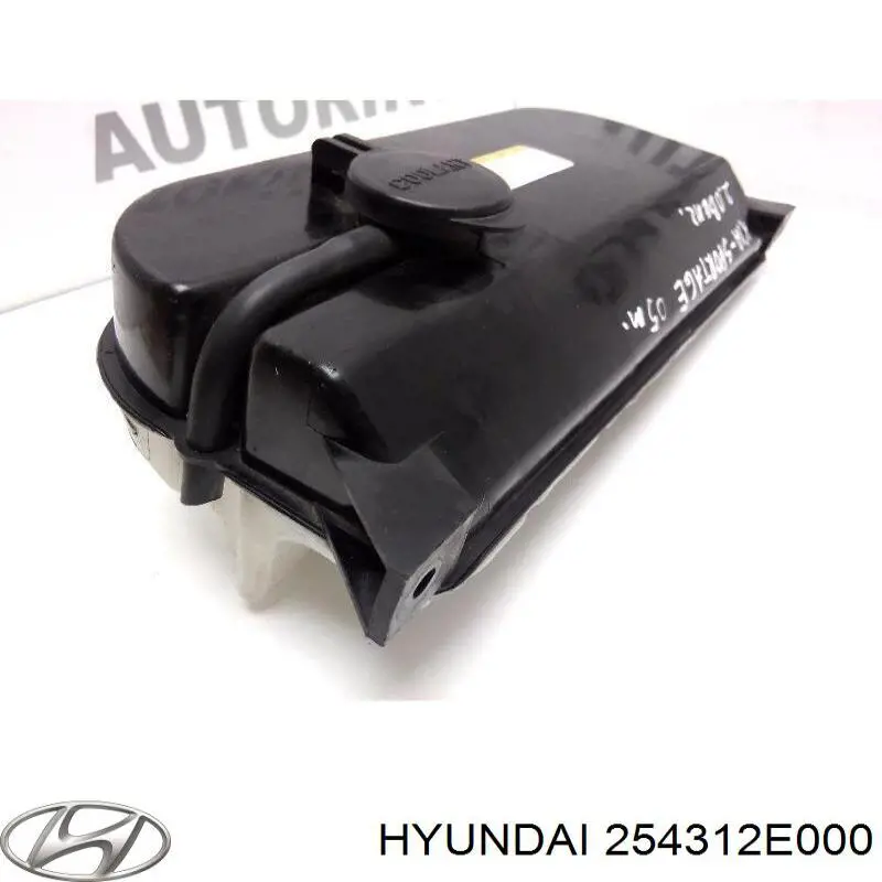 Tanque de expansão do sistema de esfriamento Hyundai/Kia 254312E000 preço, a partir de 30,45 USD