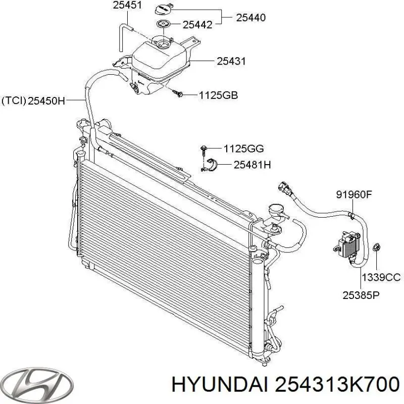 Tanque de expansão do sistema de esfriamento para Hyundai Sonata V NF