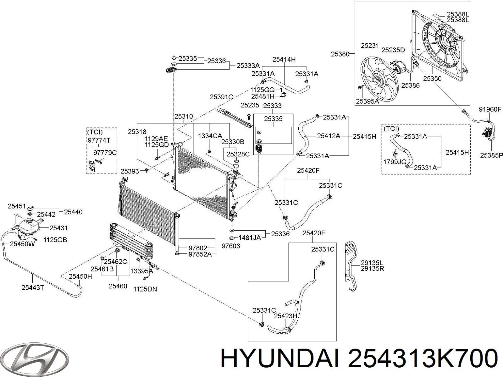 Tanque de expansão do sistema de esfriamento Hyundai Sonata V NF