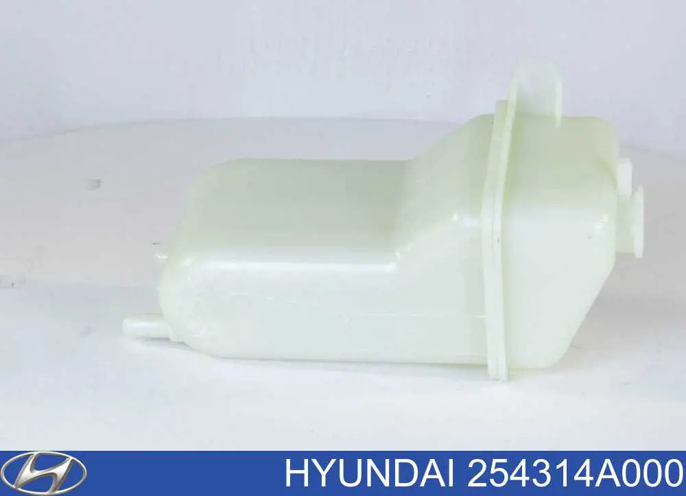 Compre 254314A000 Hyundai/Kia Tanque de expansão do sistema de esfriamento
