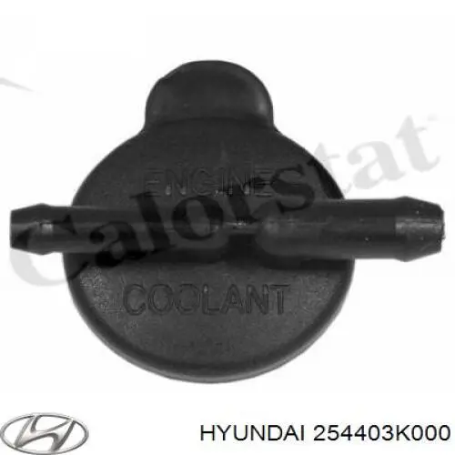 254403K000 Hyundai/Kia Tampa (tampão) do tanque de expansão