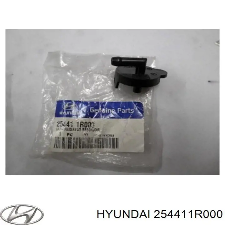 254411R000 Hyundai/Kia Tampa (tampão) do tanque de expansão