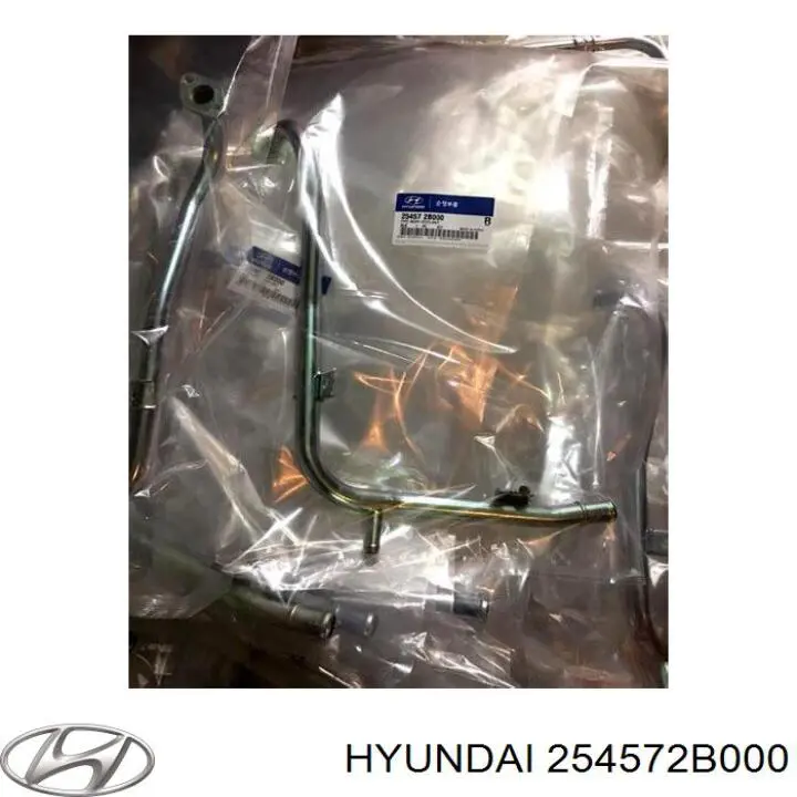 254572B000 Hyundai/Kia Mangueira (cano derivado) de bomba de água de admissão