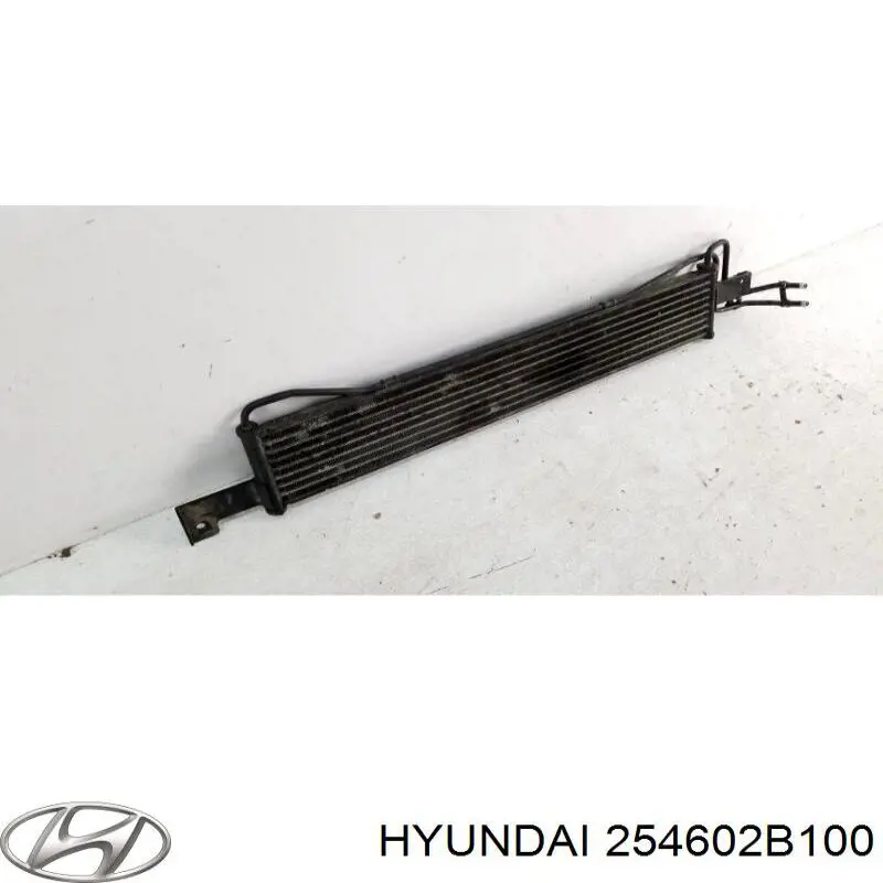 Compre 254602B100 Hyundai/Kia Radiador de esfriamento, Caixa Automática de Mudança