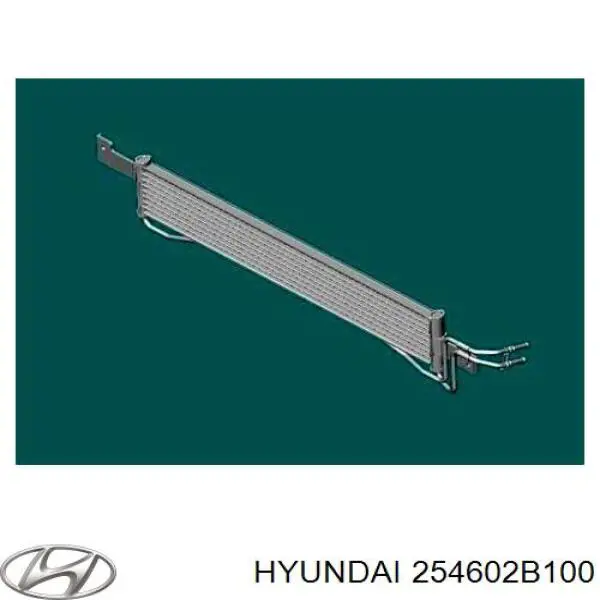 254602B100 Hyundai/Kia Radiador de esfriamento, Caixa Automática de Mudança
