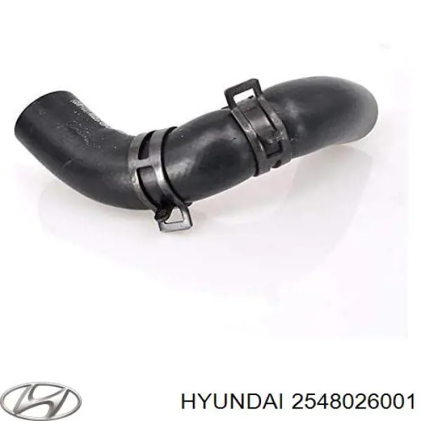 Mangueira (cano derivado) do sistema de esfriamento Hyundai/Kia 2548026001 preço, a partir de 7,44 USD