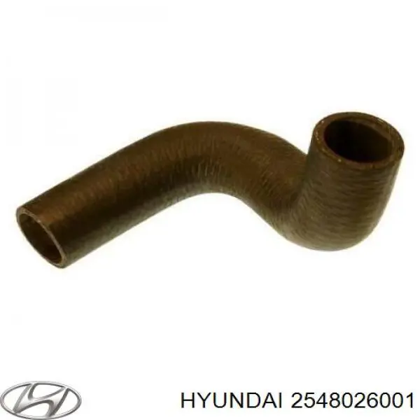 2548026001 Hyundai/Kia Mangueira (cano derivado) do sistema de esfriamento