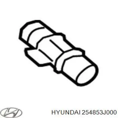 Acoplamento de desmontagem rápida de mangueira do radiador de esfriamento Hyundai/Kia 254853J000 preço, a partir de 32,90 USD