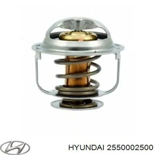 2550002500 Hyundai/Kia Termostato