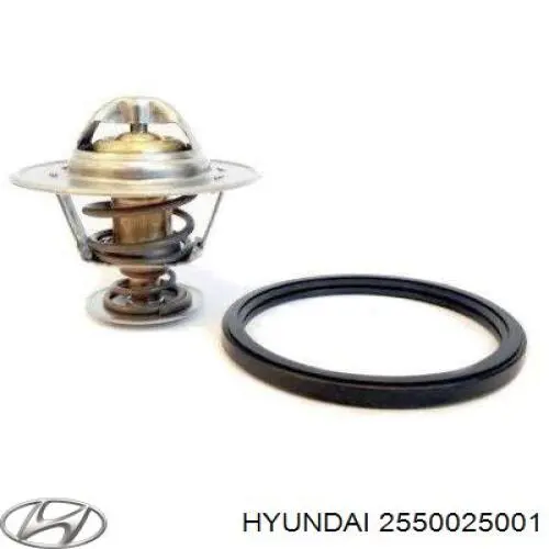 Compre 2550025001 Hyundai/Kia Termostato