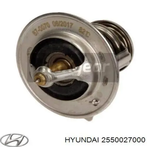 2550027000 Hyundai/Kia Termostato