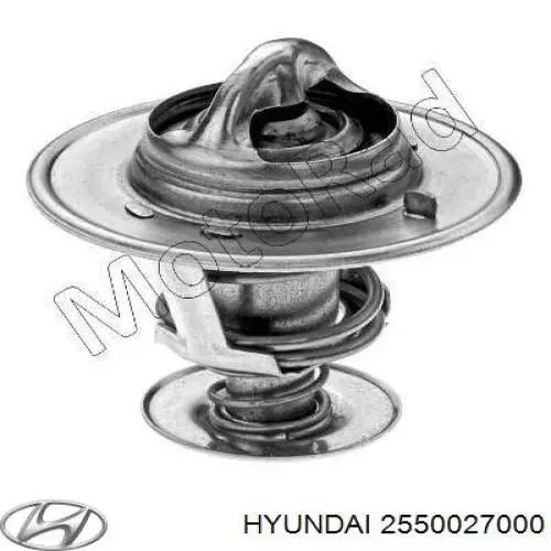 Compre 2550027000 Hyundai/Kia Termostato
