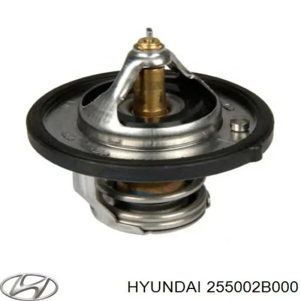 Termostato Hyundai/Kia 255002B000 preço, a partir de 19,08 USD