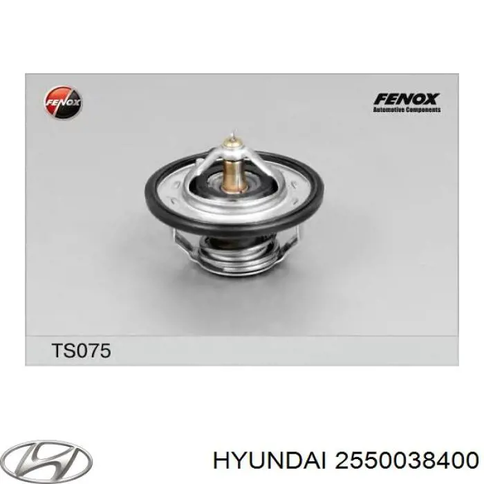 Compre 2550038400 Hyundai/Kia Termostato