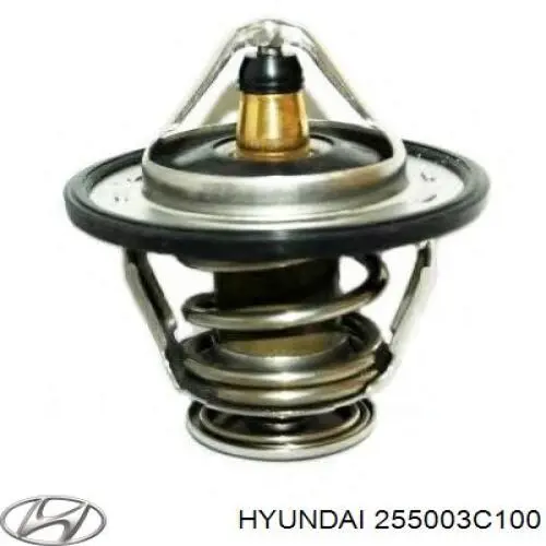 255003C100 Hyundai/Kia Termostato