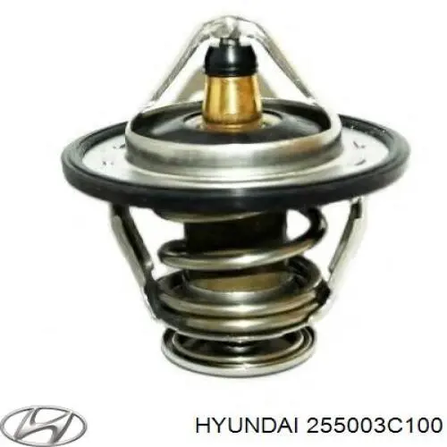 Termostato Hyundai/Kia 255003C100 preço, a partir de 20,76 USD