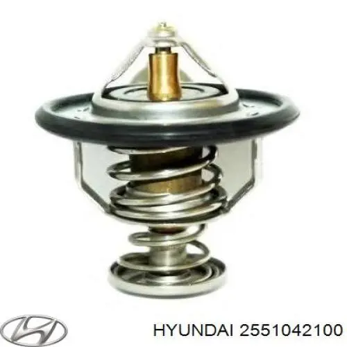 2551042100 Hyundai/Kia Termostato