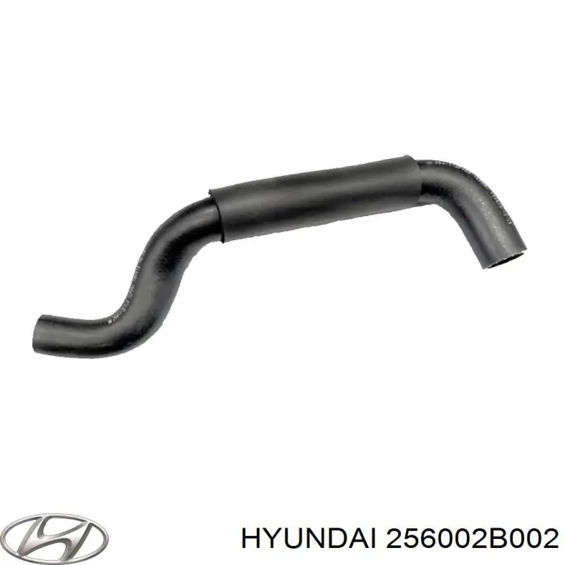 Caixa do termostato Hyundai/Kia 256002B002 preço, a partir de 183,92 USD