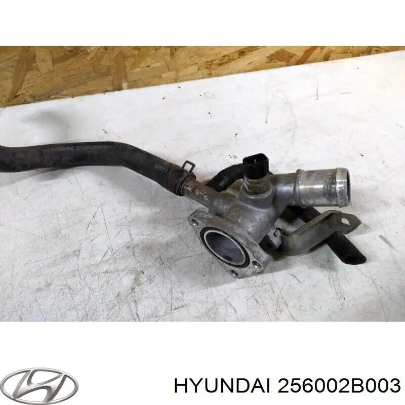 Caixa do termostato Hyundai/Kia 256002B003 preço, a partir de 52,60 USD