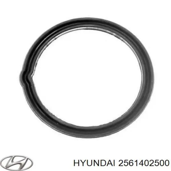2561402500 Hyundai/Kia Vedante de termostato