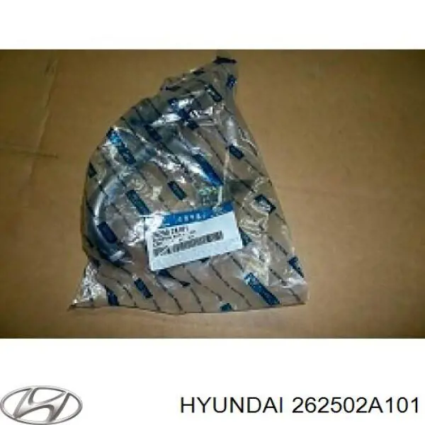 262502A101 Hyundai/Kia Receptor de óleo (coletor de óleo)