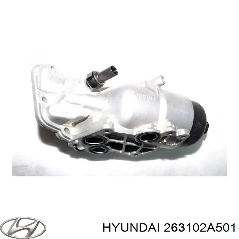263102A501 Hyundai/Kia Caixa do filtro de óleo
