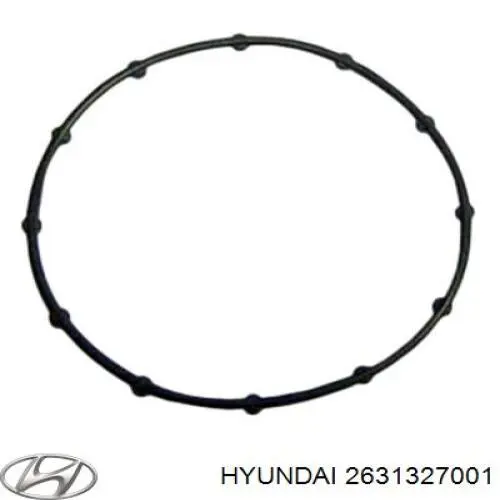 2631327001 Hyundai/Kia Vedante anular entre a caixa do filtro de óleo e o trocador de calor