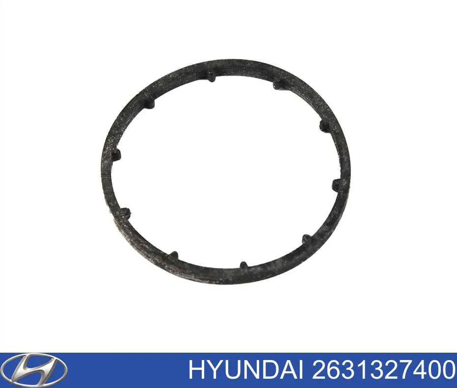 2631327400 Hyundai/Kia Vedante anular entre a caixa do filtro de óleo e o trocador de calor