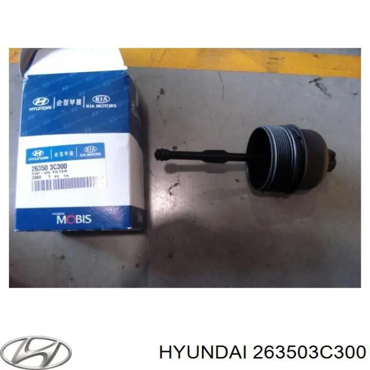 263503C300 Hyundai/Kia Tampa do filtro de óleo