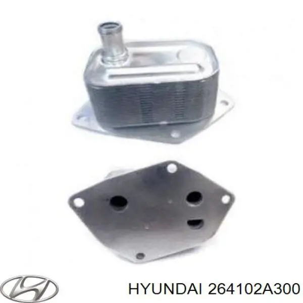 Radiador de óleo (frigorífico), debaixo de filtro Hyundai/Kia 264102A300 preço, a partir de 45,42 USD