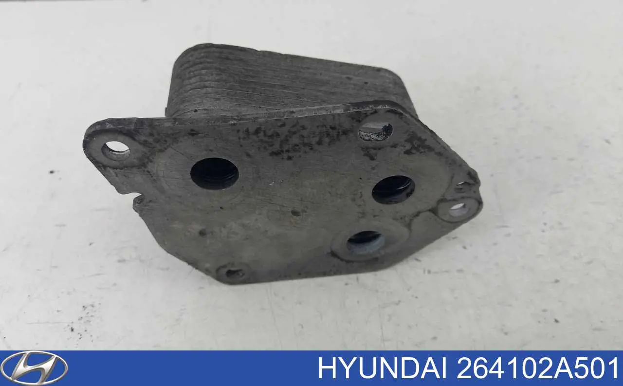264102A501 Hyundai/Kia Radiador de óleo (frigorífico), debaixo de filtro