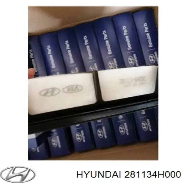 Filtro de ar 281134H000 Hyundai/Kia