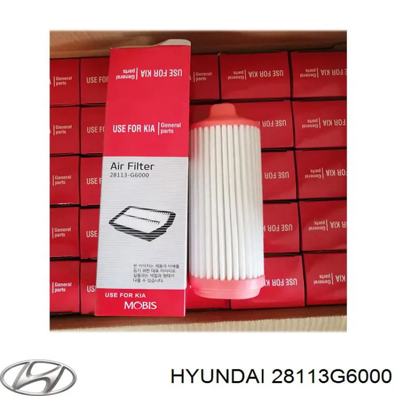 Filtro de ar 28113G6000 Hyundai/Kia