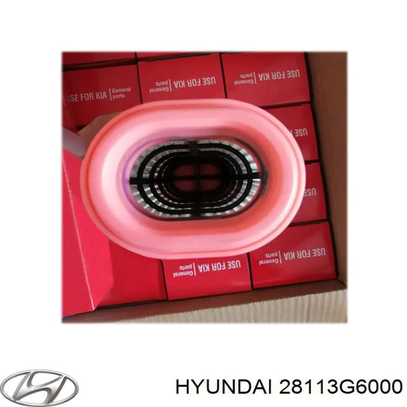 28113G6000 Hyundai/Kia Filtro de ar