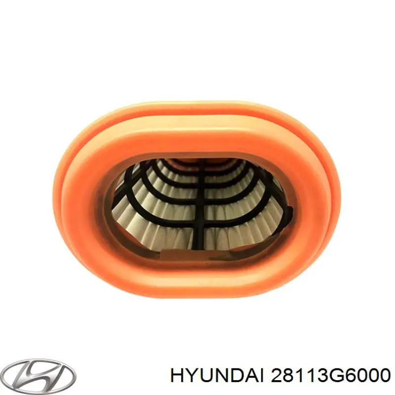Filtro de ar Hyundai/Kia 28113G6000