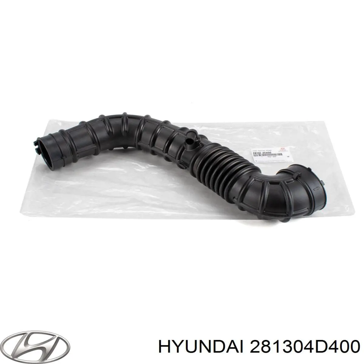 281304D400 Hyundai/Kia Cano derivado de ar, saída de filtro de ar