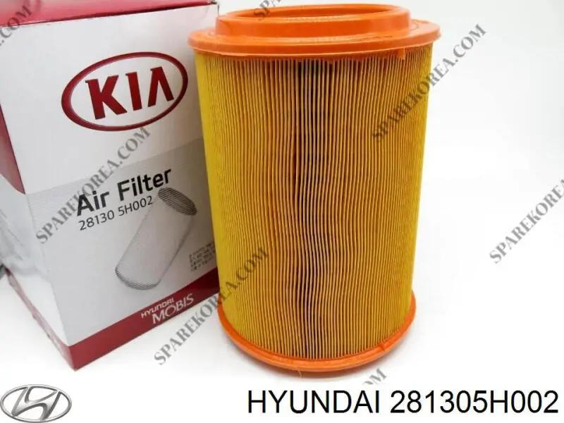 Filtro de ar Hyundai/Kia 281305H002