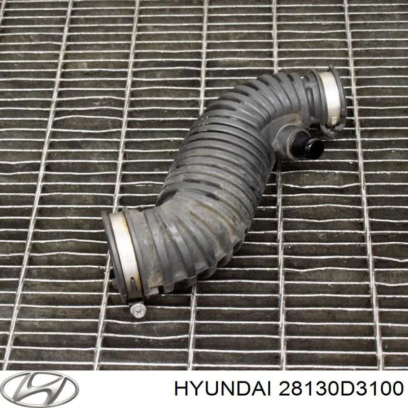 28130D3100 Hyundai/Kia Cano derivado de ar, saída de filtro de ar