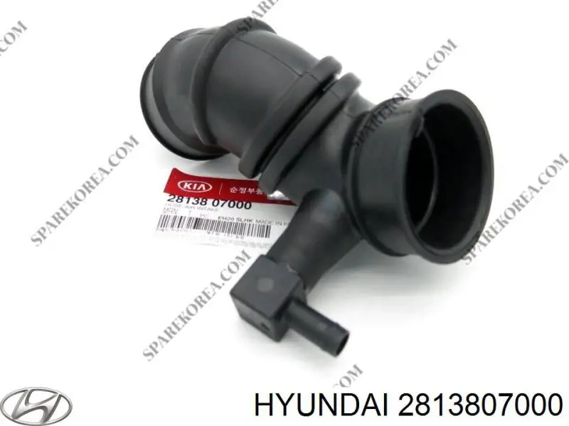 2813807000 Hyundai/Kia 