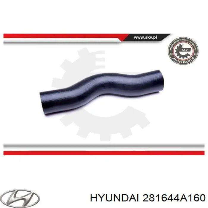 Mangueira (cano derivado) de intercooler Hyundai/Kia 281644A160 preço, a partir de 35,67 USD