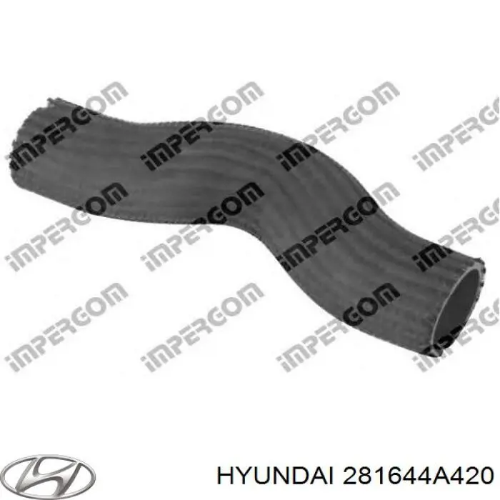 Compre 281644A420 Hyundai/Kia Mangueira (cano derivado) de intercooler