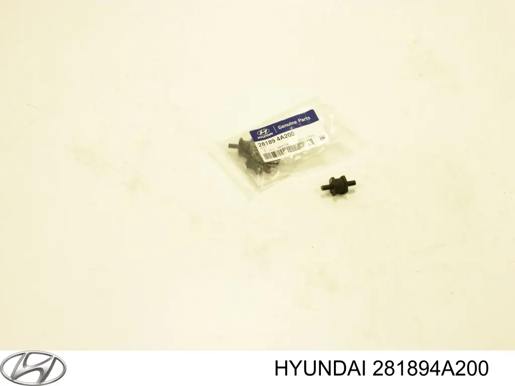 281894A200 Hyundai/Kia Parafuso