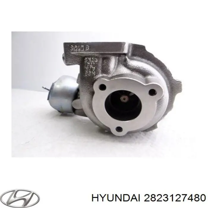 2823127480 Hyundai/Kia Turbina
