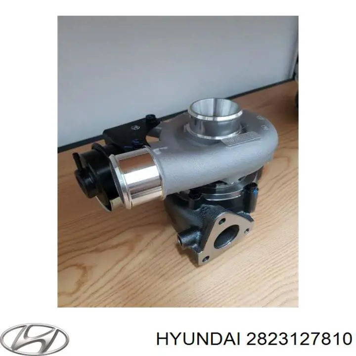2823127810 Hyundai/Kia Turbina