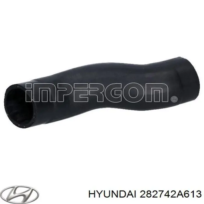 282742A613 Hyundai/Kia Mangueira (cano derivado) de intercooler