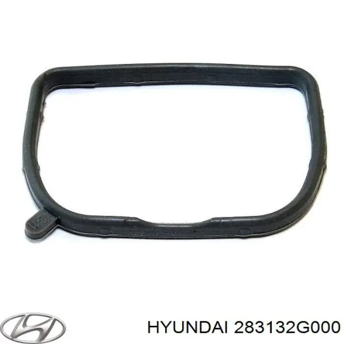 Compre 283132G000 Hyundai/Kia Vedante de tubo coletor de admissão