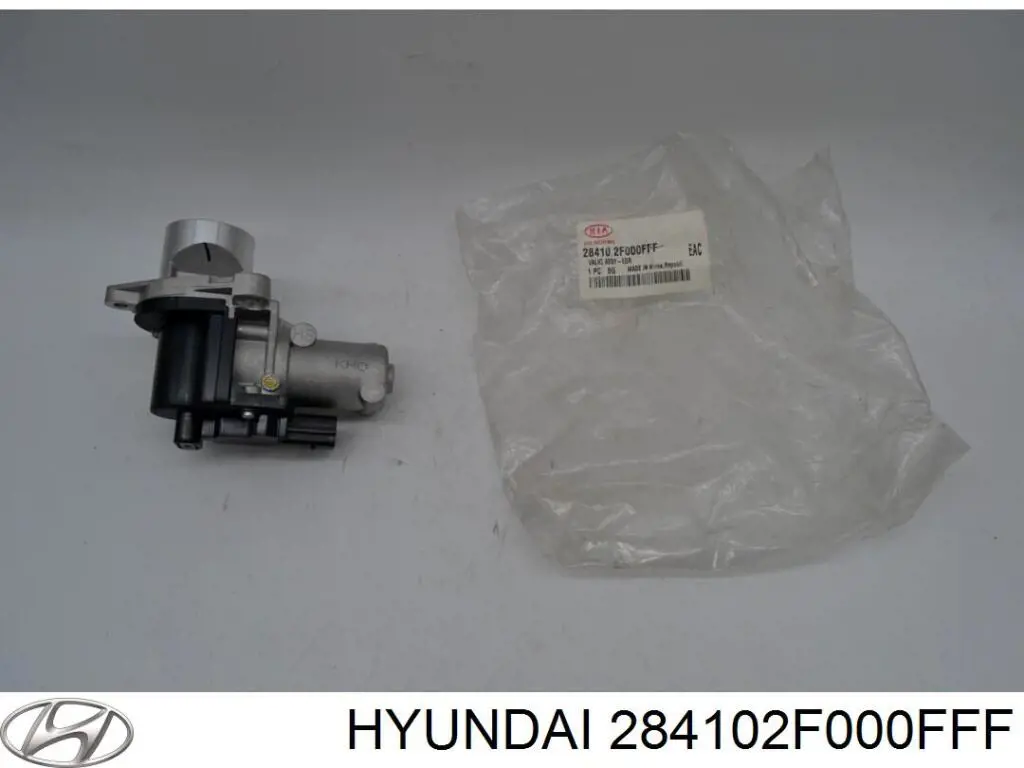 Compre 284102F000FFF Hyundai/Kia Válvula EGR de recirculação dos gases